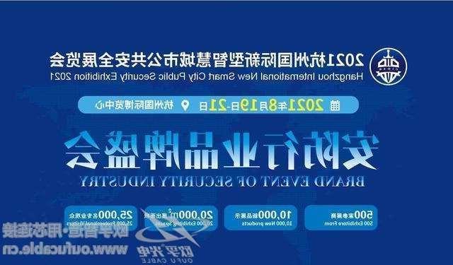 芜湖市2021杭州国际新型智慧城市公共安全展览会（安博会）CIPSE